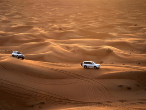 Abu Dhabi Sunset Desert Safari with BBQ