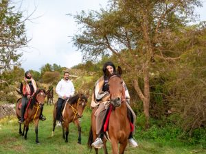 Advanced Horse Riding Experience Sightseeing and Tours