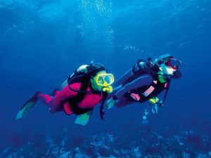 Antalya Diving Tour With Lunch And Transfer Recently Added Experiences