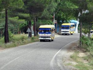 Cabrio Bus Safari Recently Added Experiences