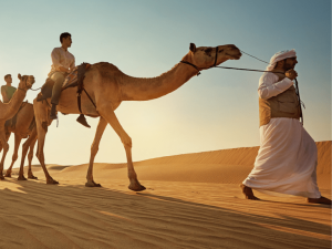 Camel Trekking Experience In Abu Dhabi With Transfers In Land Cruiser Top-Rated Attractions