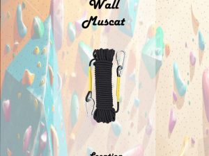 Climbing Wall Muscat Recently Added Experiences