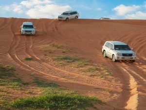 Desert Safari in RAK: Dune Bashing