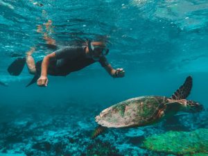 Dive & Snorkel Trips in Fujairah Water Sports