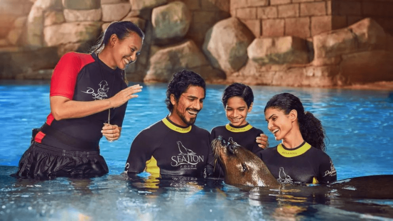 Dolphin Bay Experiences – Water Parks