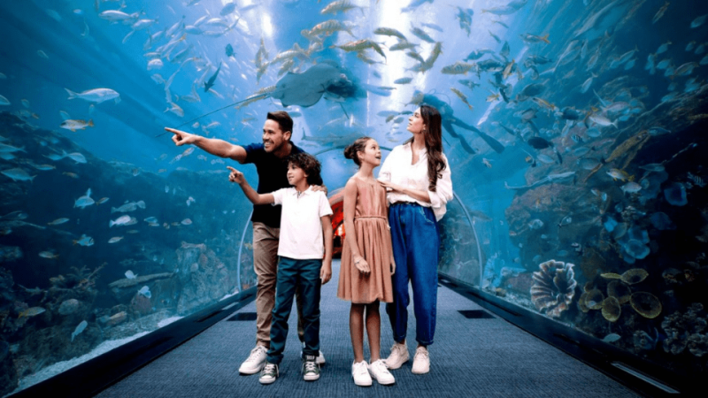 Dubai Aquarium & Underwater Zoo – Ultimate Experience – Experiences