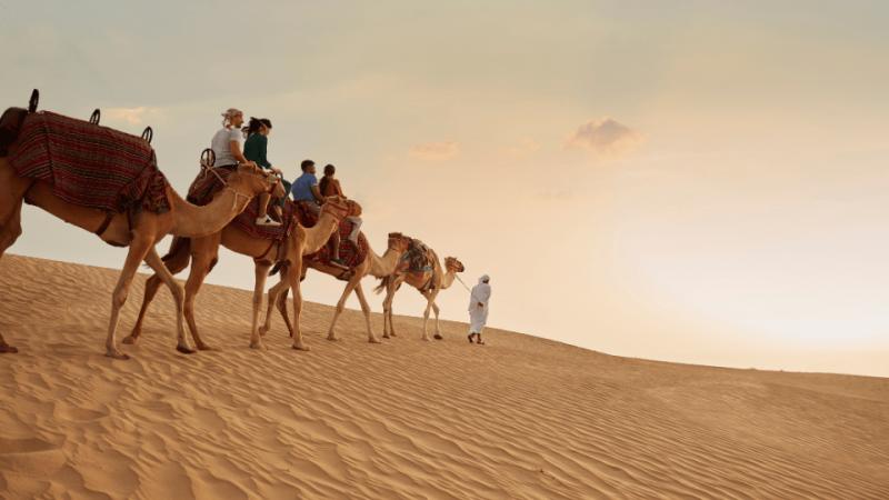 Dubai Sunset Safari Delight with BBQ dinner and camel ride – Desert safaris