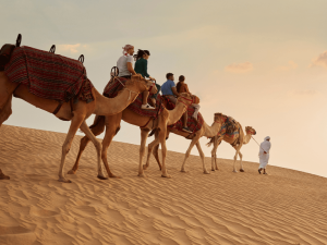 Dubai Sunset Safari Delight with BBQ dinner and camel ride Desert safaris