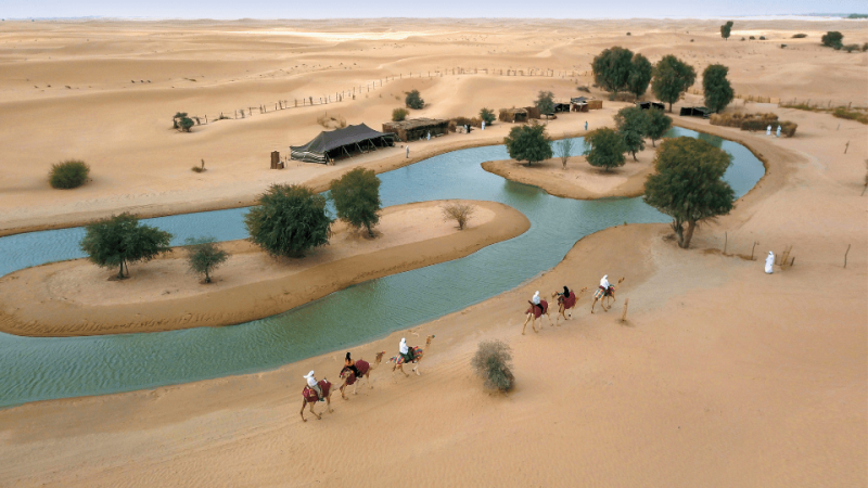 Evening Luxury Heritage Safari at Al Marmoom Bedouin Experience – Desert safaris