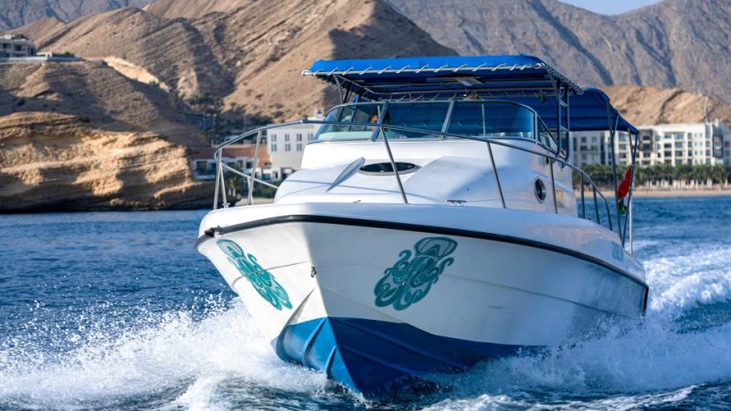 Exclusive Boating Experience – Dolphins Watching & Snorkeling – Sightseeing and Tours