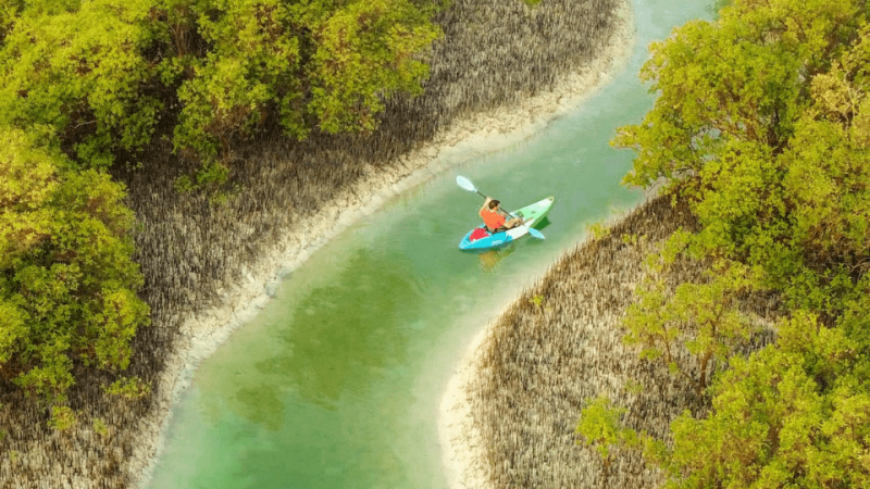 Guided Kayak Tour in the Reem Central Park Mangroves – Water Sports