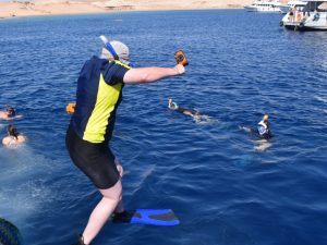 Half-day Snorkeling Boat trip with lunch and drinks from Sharm El Sheikh Sightseeing and Tours