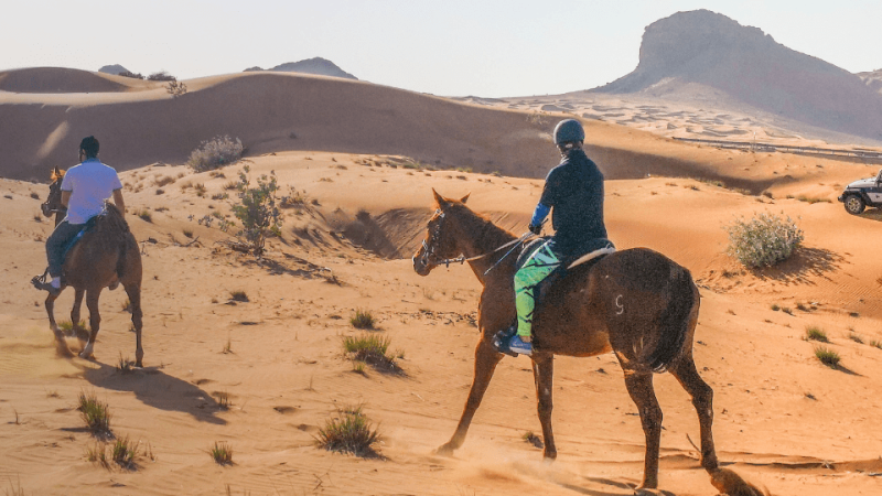 Horse Back Riding Desert Hack – Sports Events