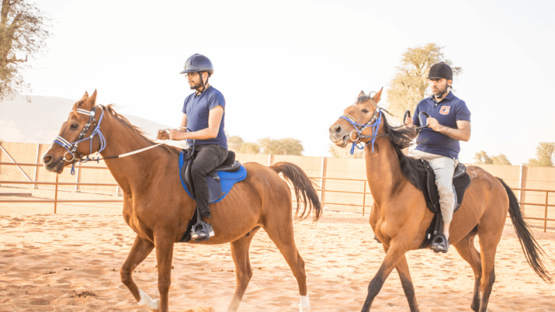 Horse Riding At Mleiha Arena – Sports Events