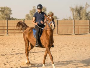 Horse Riding At Mleiha Arena Sports Events