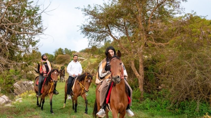 Horse Riding Experience – Recently Added Experiences