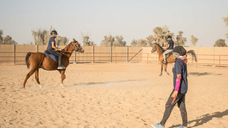 Horse Riding Training Course One Session – Sports Events