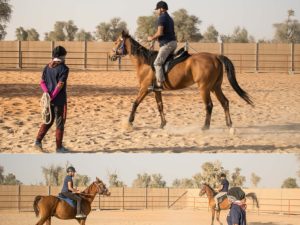 Horse Riding Training Course One Session Sports Events