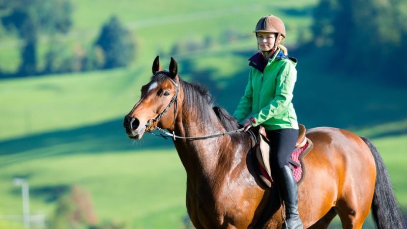 Horse riding – Recently Added Experiences