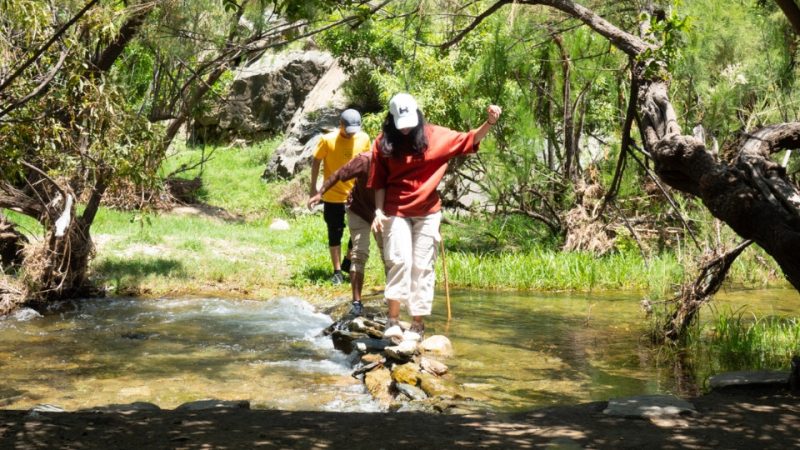 In Hike to the Ain Jamal Waterfall – Recently Added Experiences