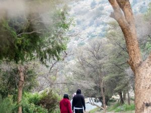 In Hike to the Ain Jamal Waterfall Recently Added Experiences