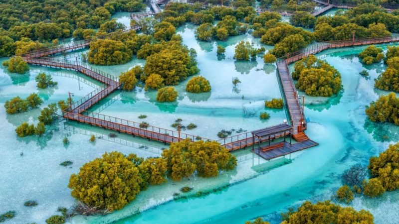 Jubail Mangrove Park – Boardwalk Experience – Recently Added Experiences