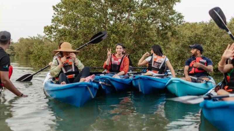 Kayaking in the Mangroves – Boat Tours and Cruises