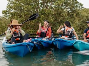 Kayaking in the Mangroves Boat Tours and Cruises