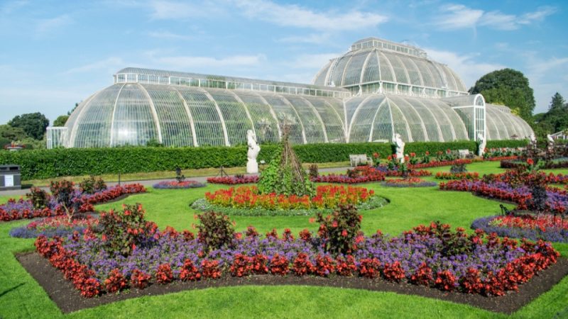 Kew Gardens Entry Ticket – Recently Added Experiences