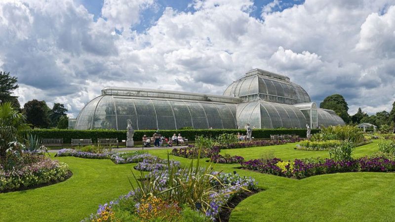 Kew Gardens & Kew Palace: Admission Ticket – Top-Rated Attractions