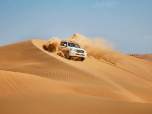 Liwa Adventure: A Desert Safari Delight with Authentic Local Lunch Desert safaris