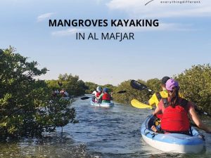 MANGROVES EXPLORATION TOUR - AL MAFJAR Outdoor Attractions