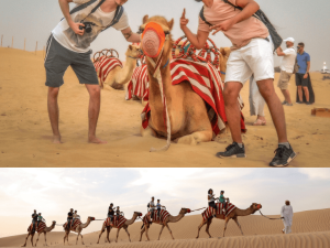 Morning Desert Safari Dubai with Dune Bashing