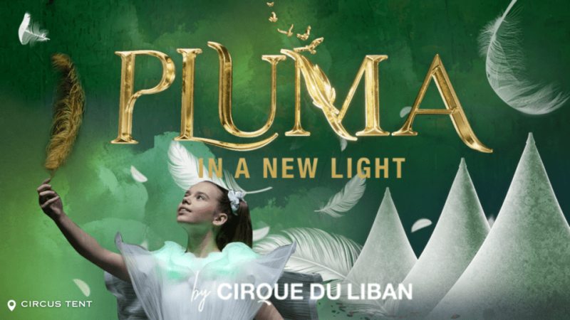 Pluma Show/Circus in Dubai – Shows and Theatrical Plays