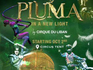 Pluma Show/Circus in Dubai Shows and Theatrical Plays