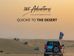 QUICKIE TO THE DESERT Outdoor Attractions