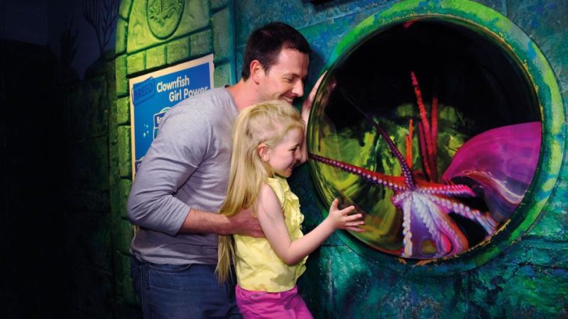 SEA LIFE London Aquarium – Same day Ticket – Top-Rated Attractions