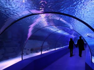 SEA LIFE London Aquarium - Same day Ticket Top-Rated Attractions