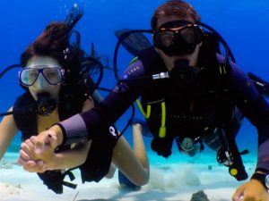 Scuba Diving Tour Recently Added Experiences