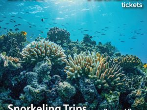 Snorkeling Daily Trips in Jeddah Attractions Special Offers