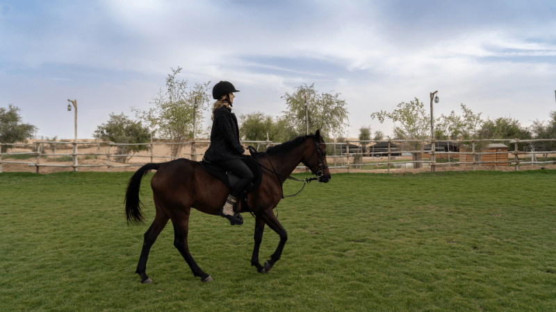 Sunset Horse Riding at Al Marmoom Oasis with a 6-Course Bedouin Dinner – Outdoor Attractions