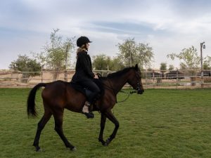 Sunset Horse Riding at Al Marmoom Oasis with a 6-Course Bedouin Dinner Outdoor Attractions