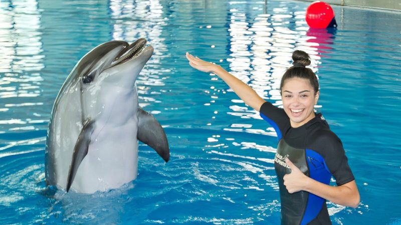 Swimming With Dolphins – Dubai Dolphinarium – Dubai Dolphinarium