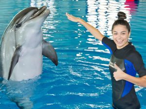 Swimming With Dolphins - Dubai Dolphinarium Dubai Dolphinarium