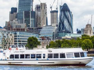 Thames Cruise: Westminster to Tower Bridge (Butler's Wharf) with optional return Boat Tours and Cruises