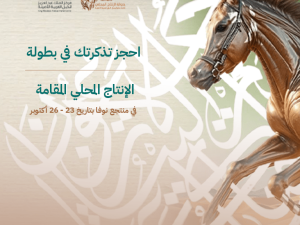 The Local Production Championship in Riyadh Arabic Events