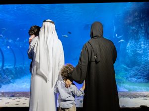 The National Aquarium Abu Dhabi Experiences