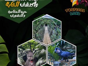 Tropical Land Top-Rated Attractions