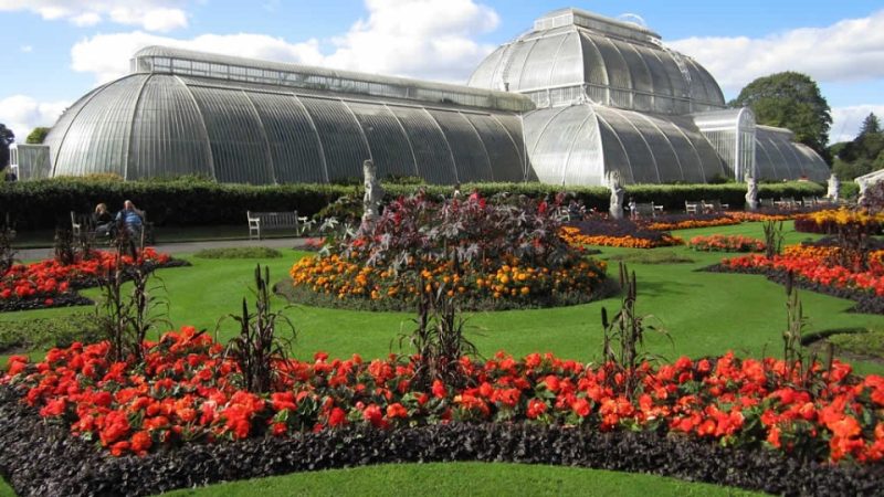 Visit Kew Gardens & 3 Hour Westminster Walking Tour – Recently Added Experiences