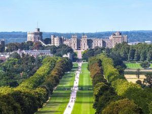 Wonderful Westminster tour and Windsor Castle visit Sightseeing and Tours